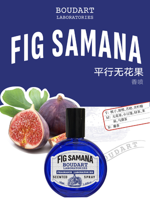 FIG SAMANA Körperspray Kalk und Musk Duftöl konzentriert mit Nelkenöl