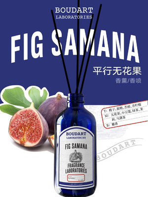 FIG SAMANA Reed Diffuser Aroma Rattan Stäbchen in elegantem Design Stil mit Pfirsich Top Noten