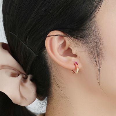 Regenbogen Sterling Silver Jewelry Earrings