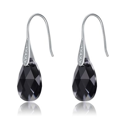 Langer Haken Sterling Silver Jewelry Earrings