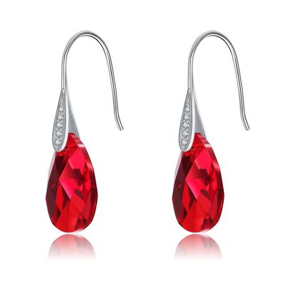Langer Haken Sterling Silver Jewelry Earrings