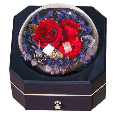 Soem bereitete Geschenkbox-Plastik 115×115×110mm des Schmuck-0.406kg auf