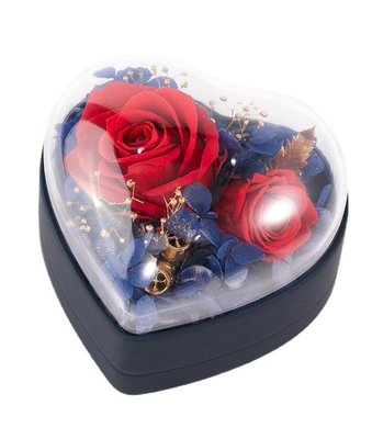 Soem bereitete Geschenkbox-Plastik 115×115×110mm des Schmuck-0.406kg auf