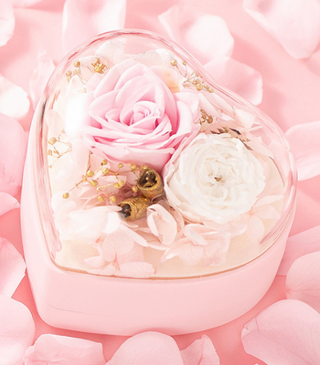Soem bereitete Geschenkbox-Plastik 115×115×110mm des Schmuck-0.406kg auf