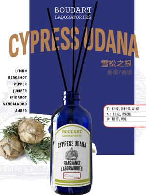 CYPRESS UDANA Reed Diffuser Großhandel OEM Parfum Wohnkultur Naturglasflasche ätherisches Öl Aroma Rattan Sticks